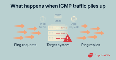 Server overloaded by excessive ICMP ping traffic.
