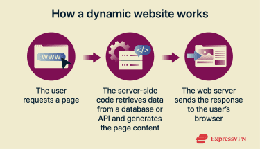 how a dynamic website generates content in response to a user request