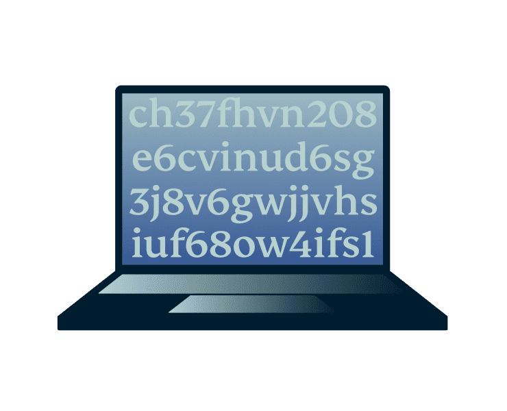 Top Level Encryption@2x